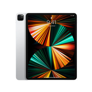 iPad Pro 11-inch 256GB (Wi-Fi) (Year 2021) - Ascentouch Resources